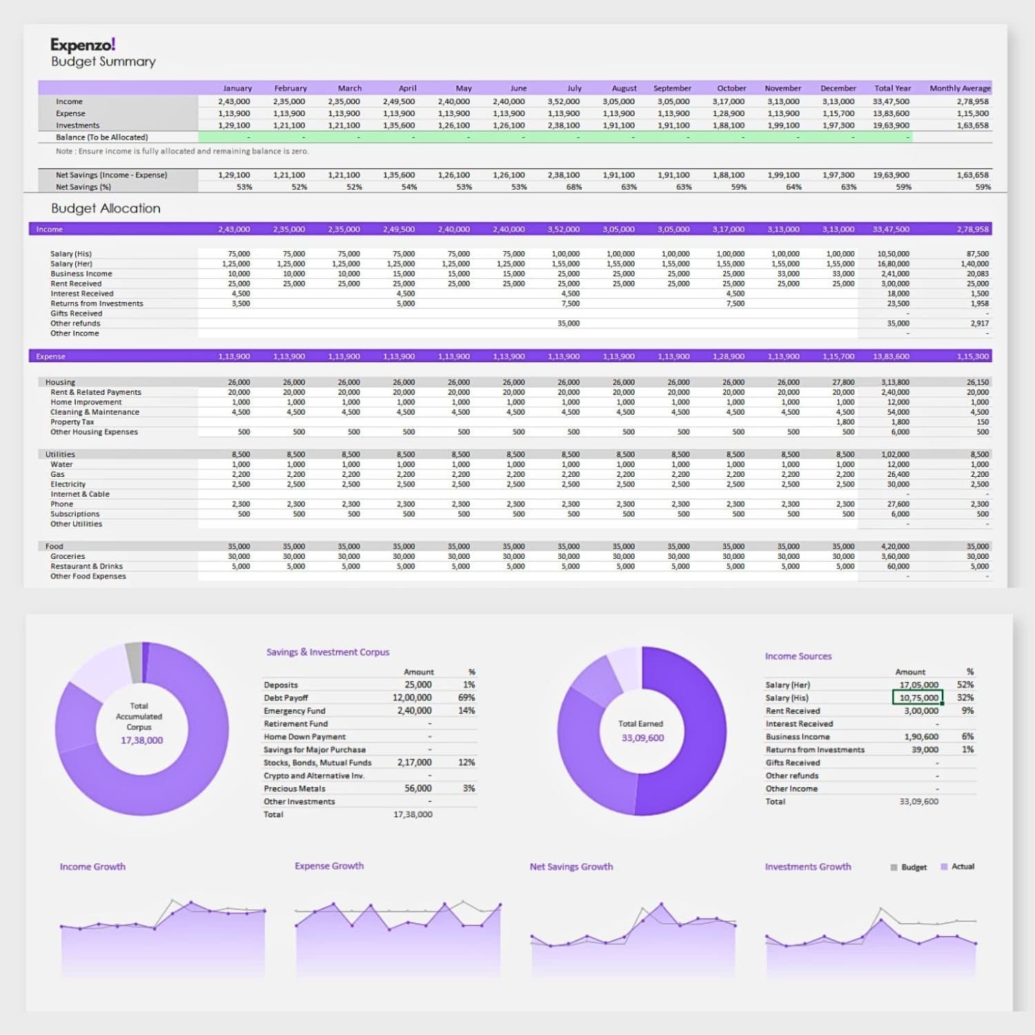 Expenzo!- Annual Expense & Budget Tracker Tool preview 2